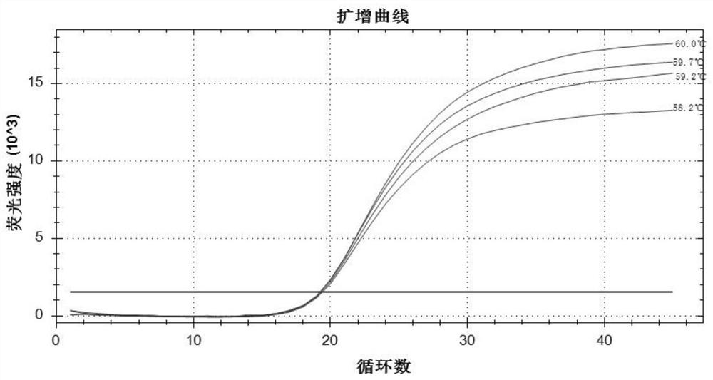 Kit for synchronously detecting African swine fever virus and porcine pseudorabies virus