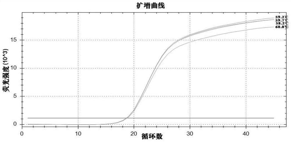 Kit for synchronously detecting African swine fever virus and porcine pseudorabies virus