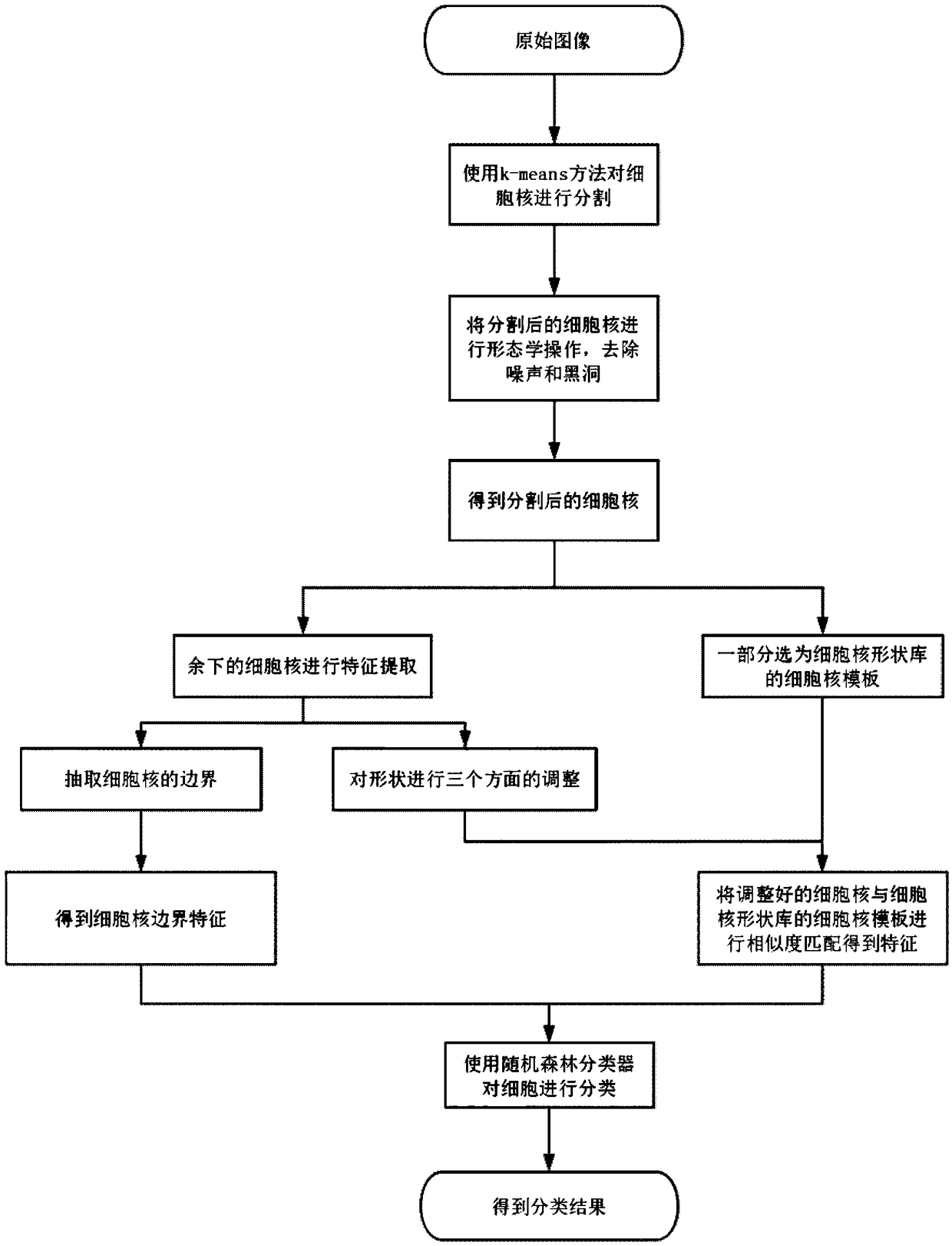 HCC pathological image-oriented cell nucleus segmentation and classification method