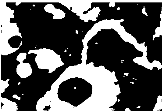 HCC pathological image-oriented cell nucleus segmentation and classification method