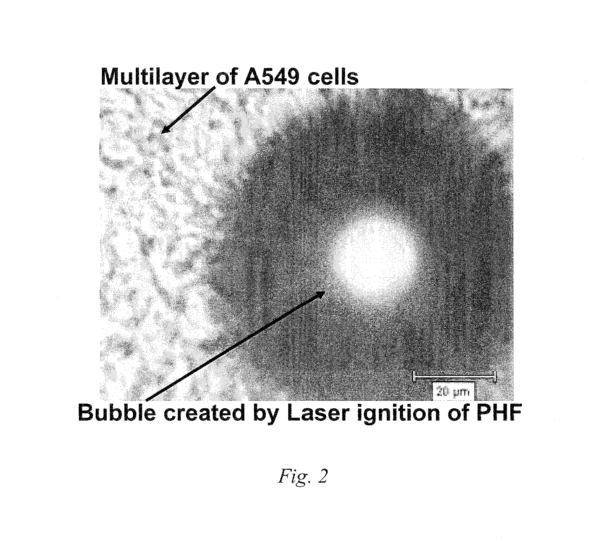 Systems and methods based on radiation induced heating or ignition of functionalized fullerenes