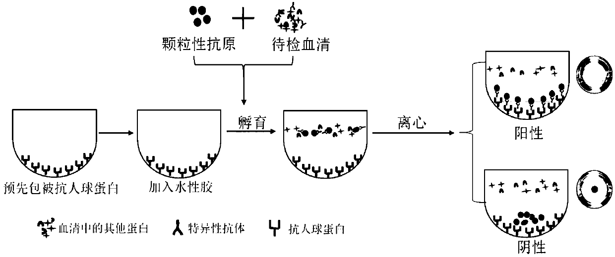 Incomplete antibody detection kit and detection method