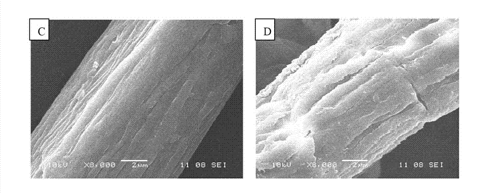 Method for refining sugar by rapidly degrading reed fibers