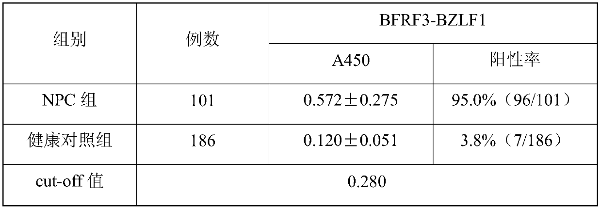 EB virus BFRF3-BZLF1 fusion protein, gene, vector containing same, host cell, test strip and production method and application thereof