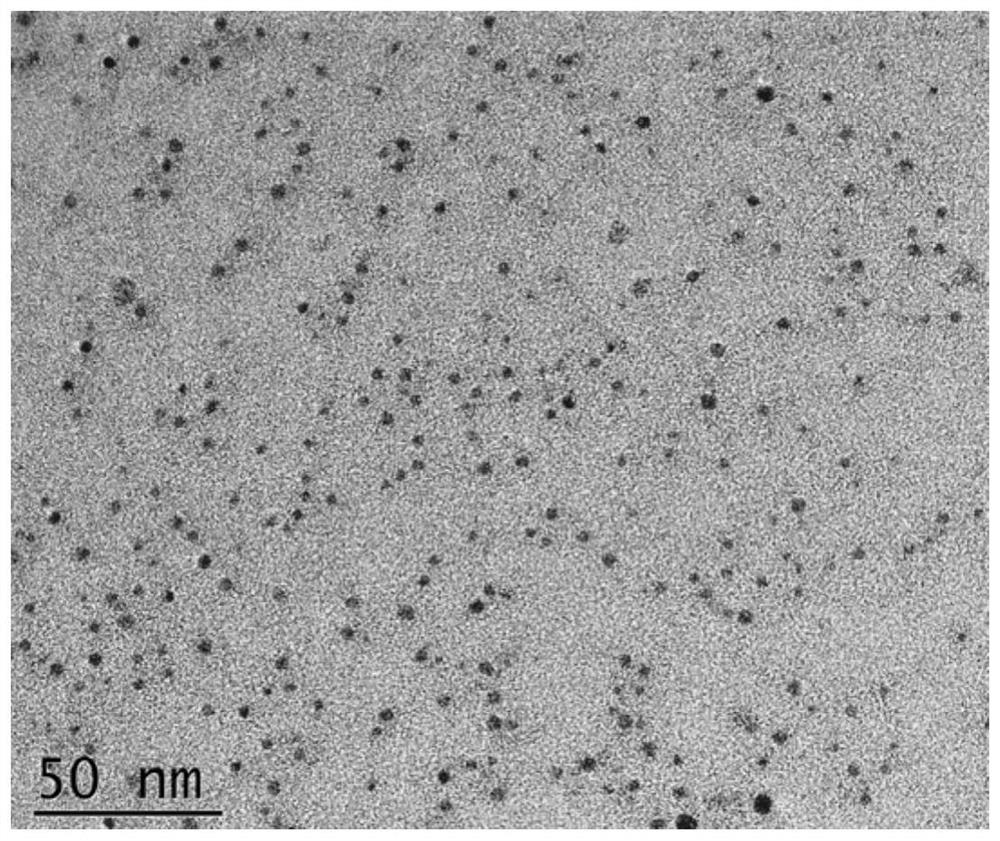 Production of high-quantum-yield sulfur quantum dots and method for determining ascorbic acid thereof