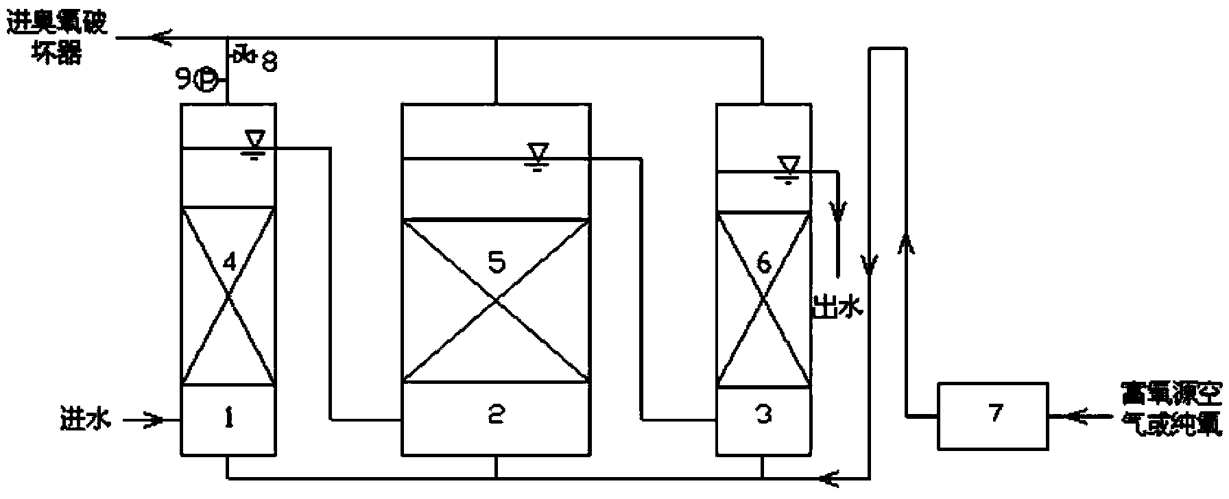 Process method for performing advanced treatment on petrochemical wastewater through catalytic ozonation