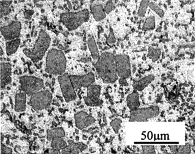 Heat resisting low expansion silumin and preparation thereof