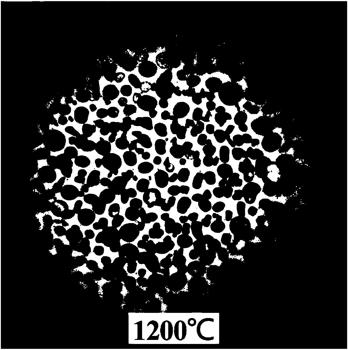 Testing device for inhibiting dithering of speckle image under aerobic environment with high temperature of 1200 DEG C