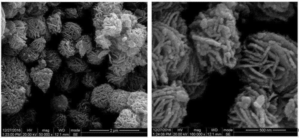 Preparation method of flower-shaped Cu2SnS3 flexible supercapacitor electrode materials