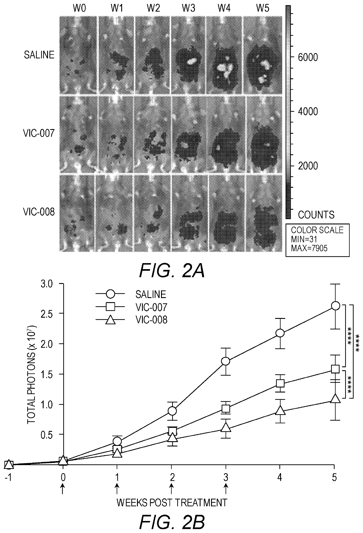 HSP fusion protein with anti-chemorepellant agent for treatment of cancer