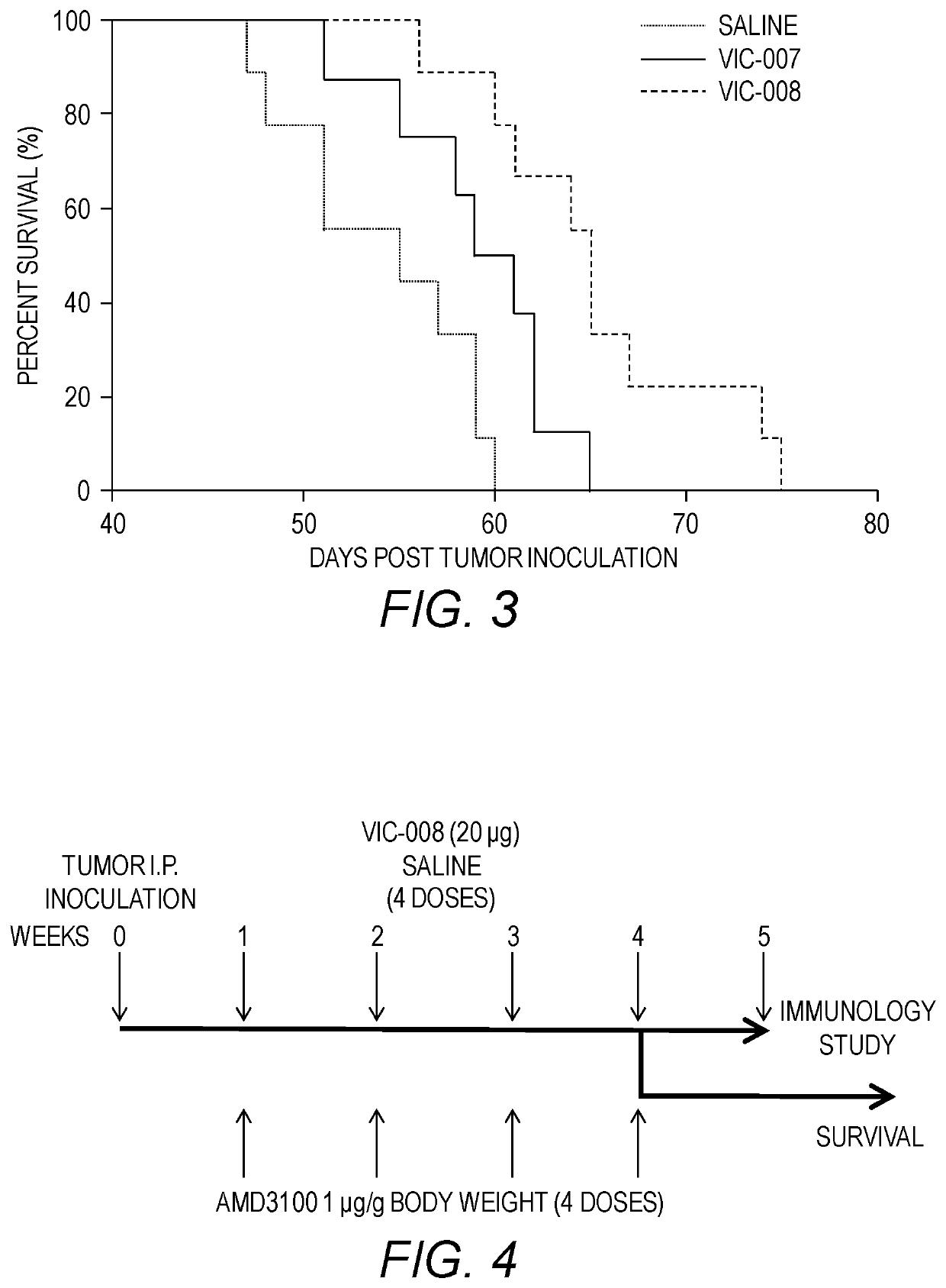 HSP fusion protein with anti-chemorepellant agent for treatment of cancer