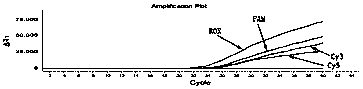 Human MTHFR gene polymorphism detection kit