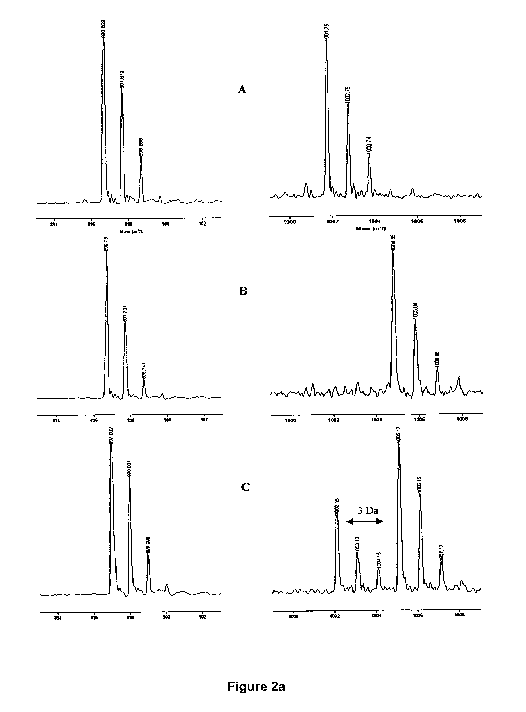 Stable isotope, site-specific mass tagging for protein identification