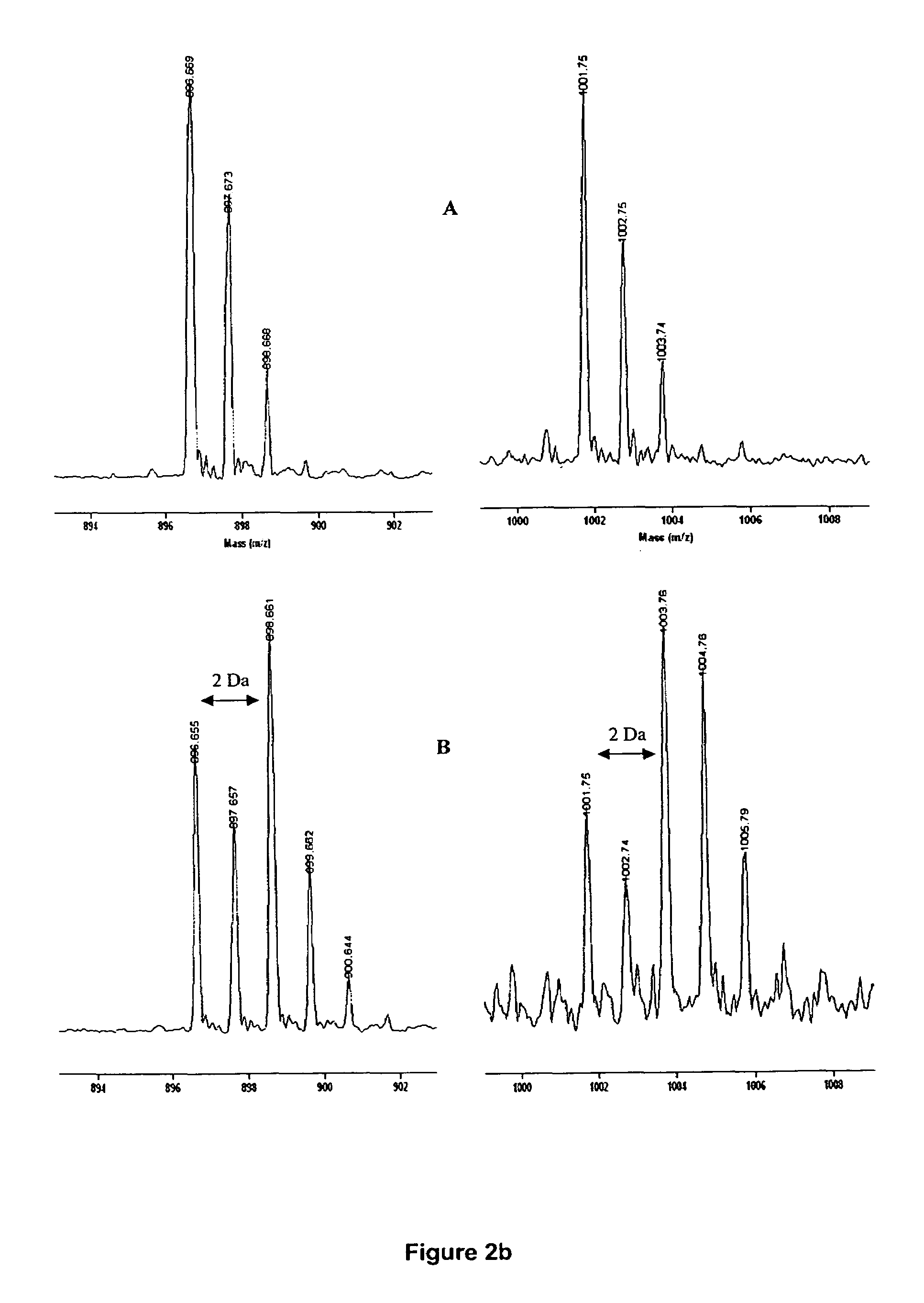 Stable isotope, site-specific mass tagging for protein identification