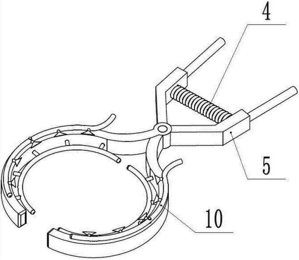 Tree trunk whitewashing equipment