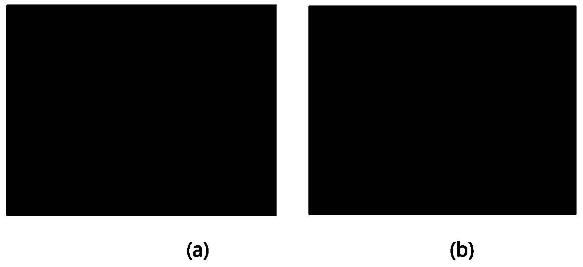 Optimized matting method and system capable of specifying category