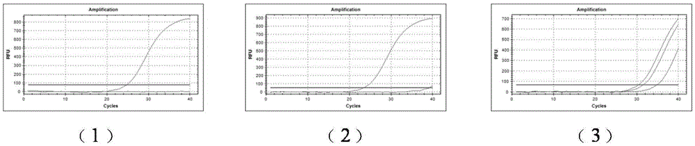 Primer for detecting main drug-resistant mutation sites of aids therapeutic nucleoside reverse transcriptase inhibitor and application thereof