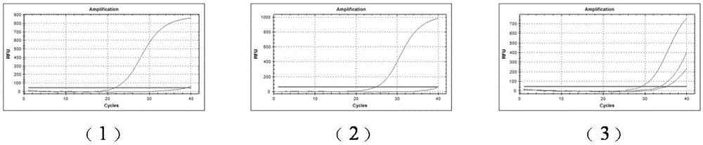 Primer for detecting main drug-resistant mutation sites of aids therapeutic nucleoside reverse transcriptase inhibitor and application thereof