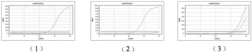 Primer for detecting main drug-resistant mutation sites of aids therapeutic nucleoside reverse transcriptase inhibitor and application thereof