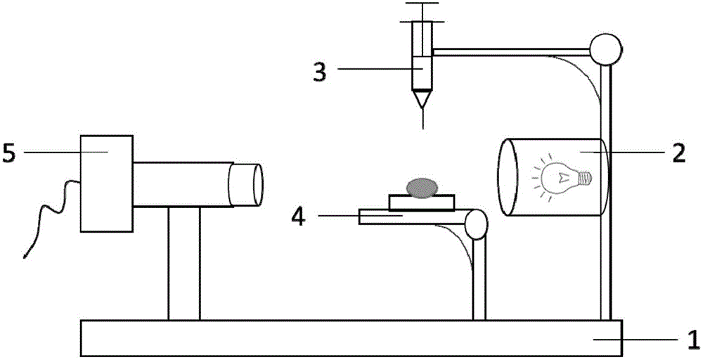 Method for controlling reversible transformation of hydrophilic-hydrophobic properties of folded surfaces by strain and application