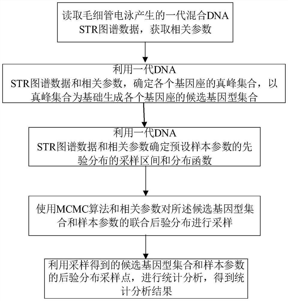 Analysis method of mixed DNA map