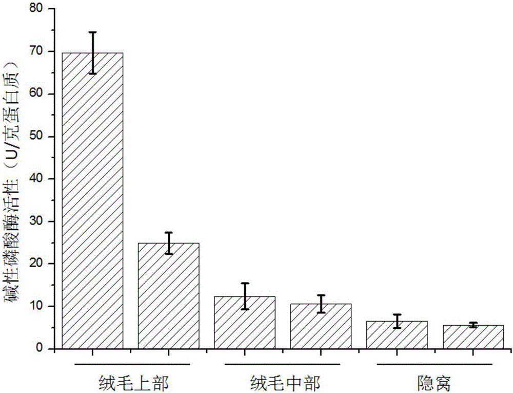 Piglet small intestine epithelial cell classification and separation method