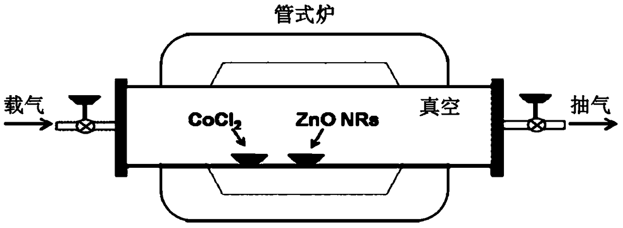 Preparation method of a single crystal porous cobaltous oxide nanorod array