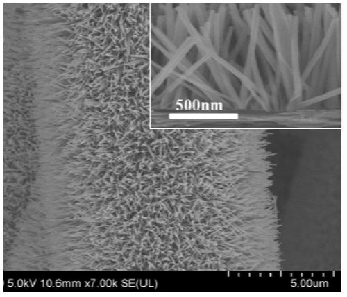 Preparation method of a single crystal porous cobaltous oxide nanorod array