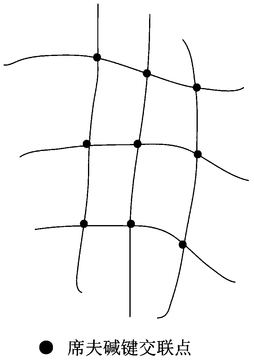 GelMA-oxidized dextran double-network hydrogel and preparation method thereof