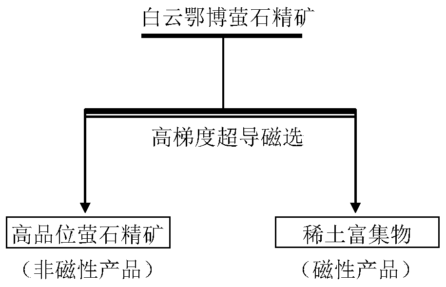 Method for improving grades of fluorite ore concentrate and rare earth ore concentrate of baiyuneboite through high-gradient superconducting magnetic separation