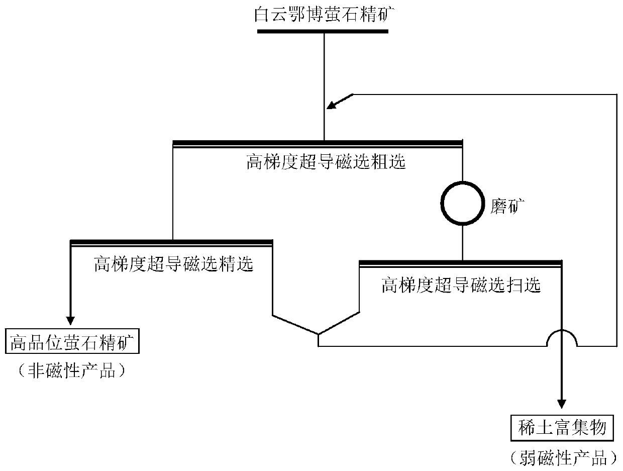 Method for improving grades of fluorite ore concentrate and rare earth ore concentrate of baiyuneboite through high-gradient superconducting magnetic separation