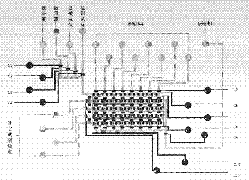 Microfluidic chip capable of being used for enzyme-linked immunoassay