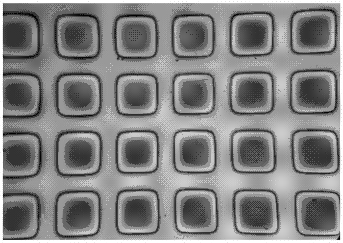 Graphene two-dimensional material protective layer-based topological insulator array photoelectric detector and preparation method and application thereof