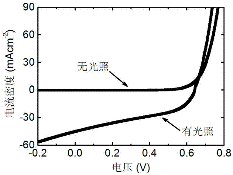 Graphene two-dimensional material protective layer-based topological insulator array photoelectric detector and preparation method and application thereof