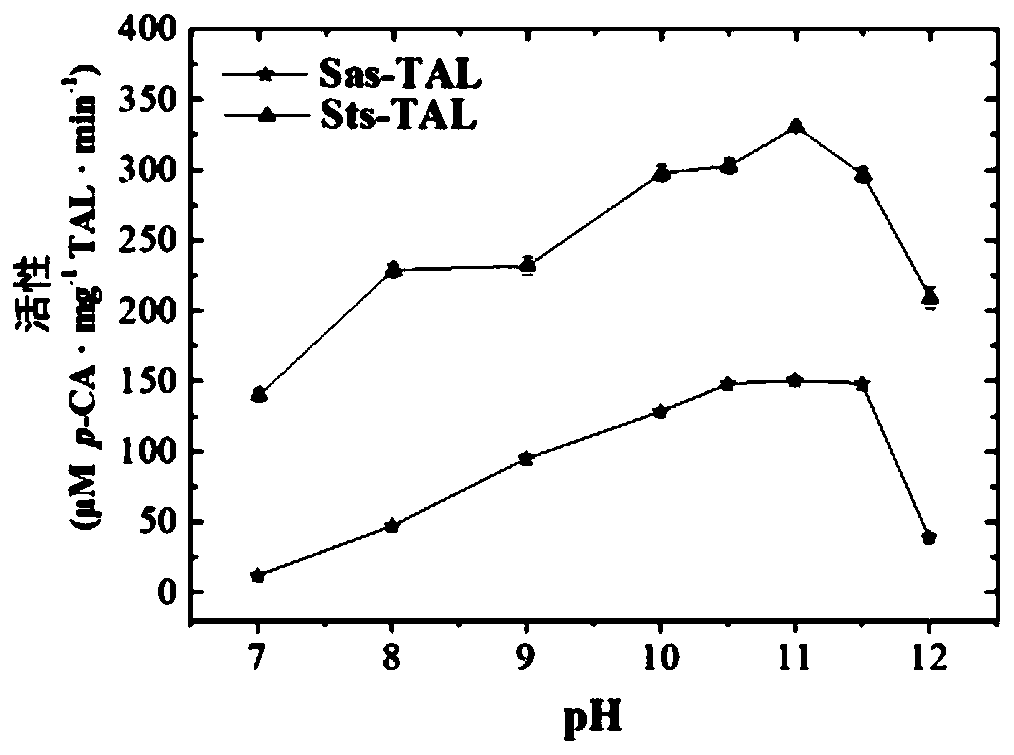 Tyrosine ammonia lyase recombinant bacterium and construction method and application thereof, and tyrosine ammonia lyase and preparation method and application thereof