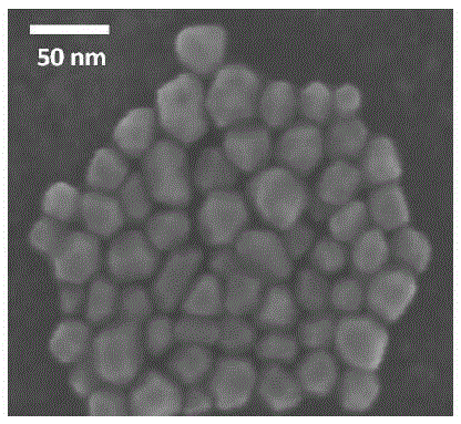 Cu@Cu-Au nano-particle with core-shell structure and preparation method and application thereof