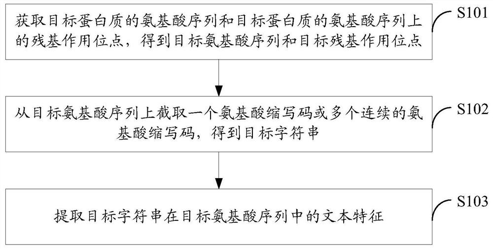 Method and device for protein feature extraction, function model generation, and function prediction