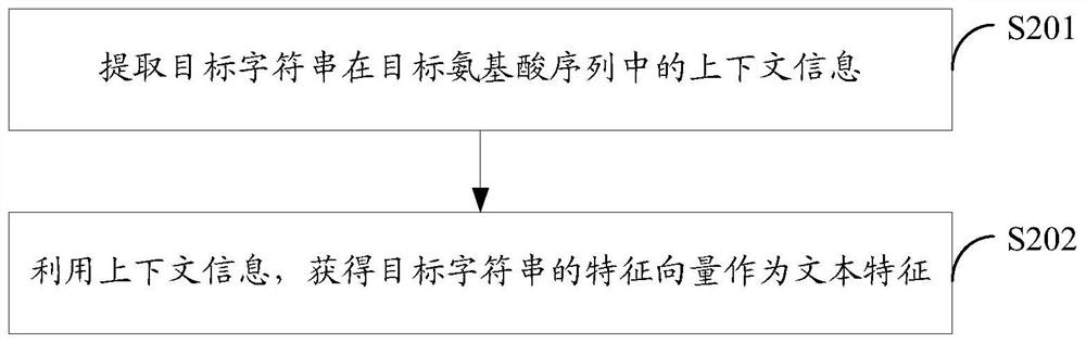 Method and device for protein feature extraction, function model generation, and function prediction