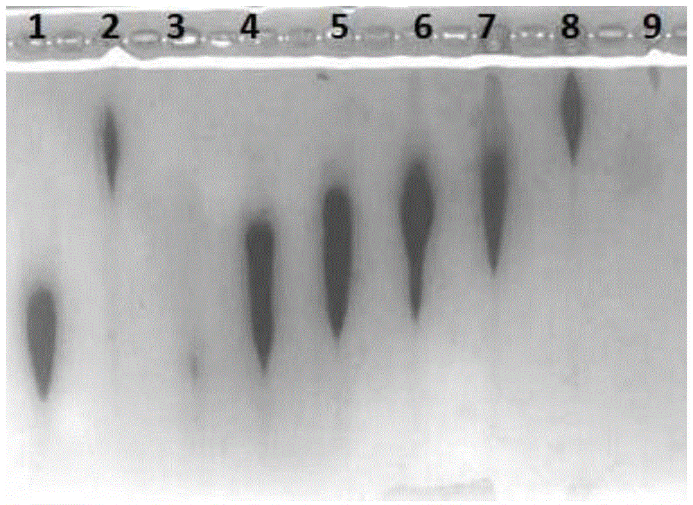 GLP-1 derivative particle compound as well as preparation method and application thereof