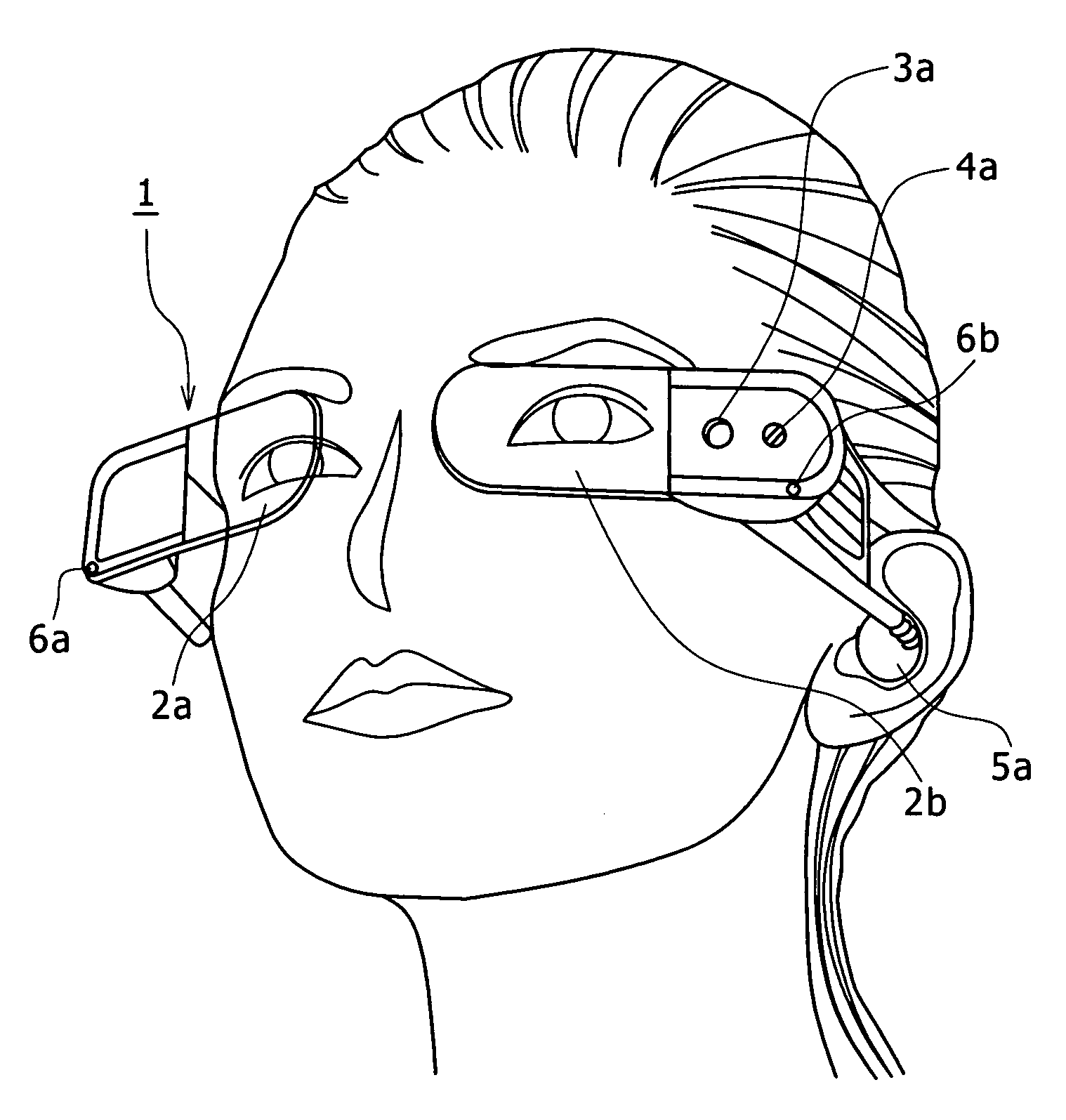 Image display system, display apparatus, and display method