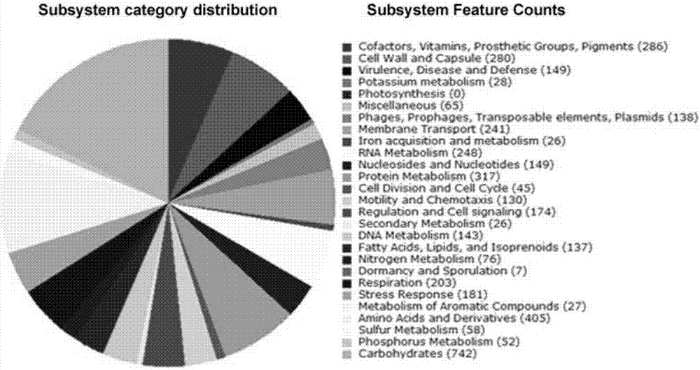 Whole genome sequencing analysis method of pigling diarrhoea Escherichia coli