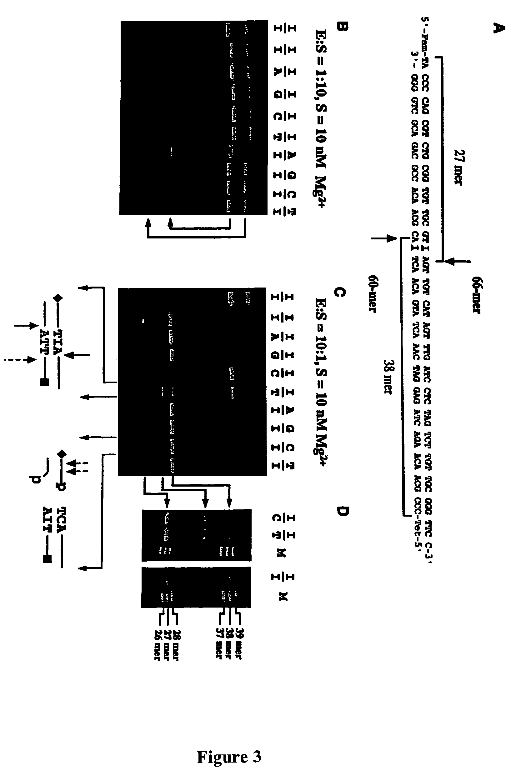 Detection of nucleic acid differences using combined endonuclease cleavage and ligation reactions