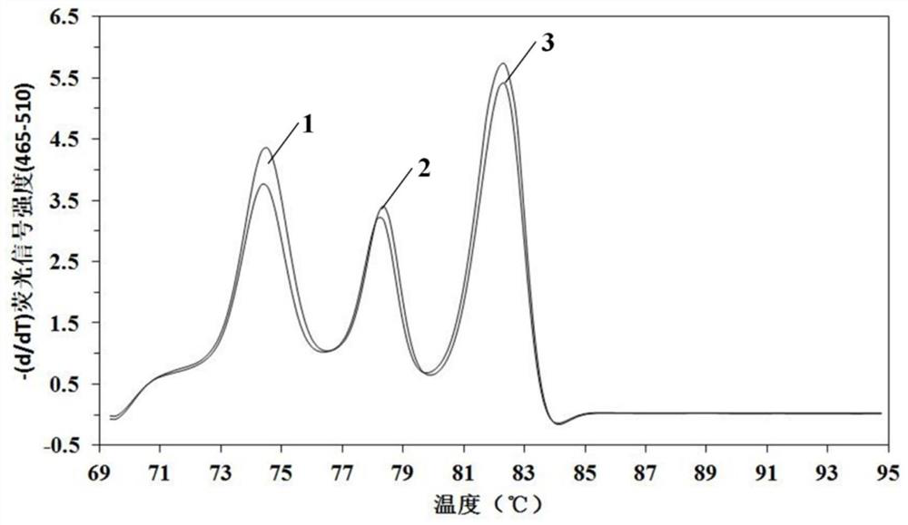 Primers for identifying fish-derived components and identification method thereof