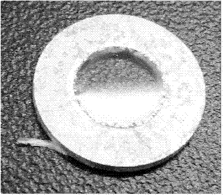 Free-standing composite proton conducting film and preparation method thereof