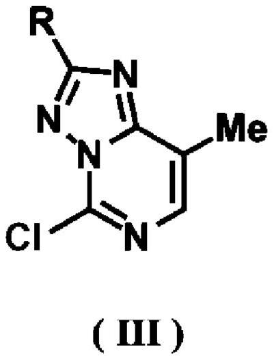 Thymine nucleobase-based triazolopyrimidines and production method therefor