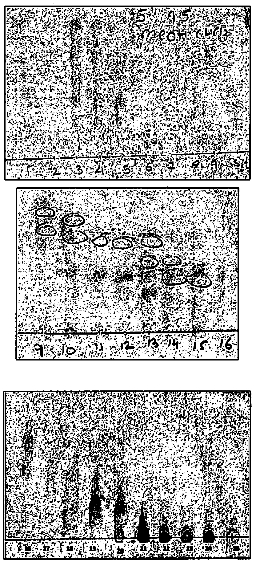 Antituberculosis compositions of byttneria species