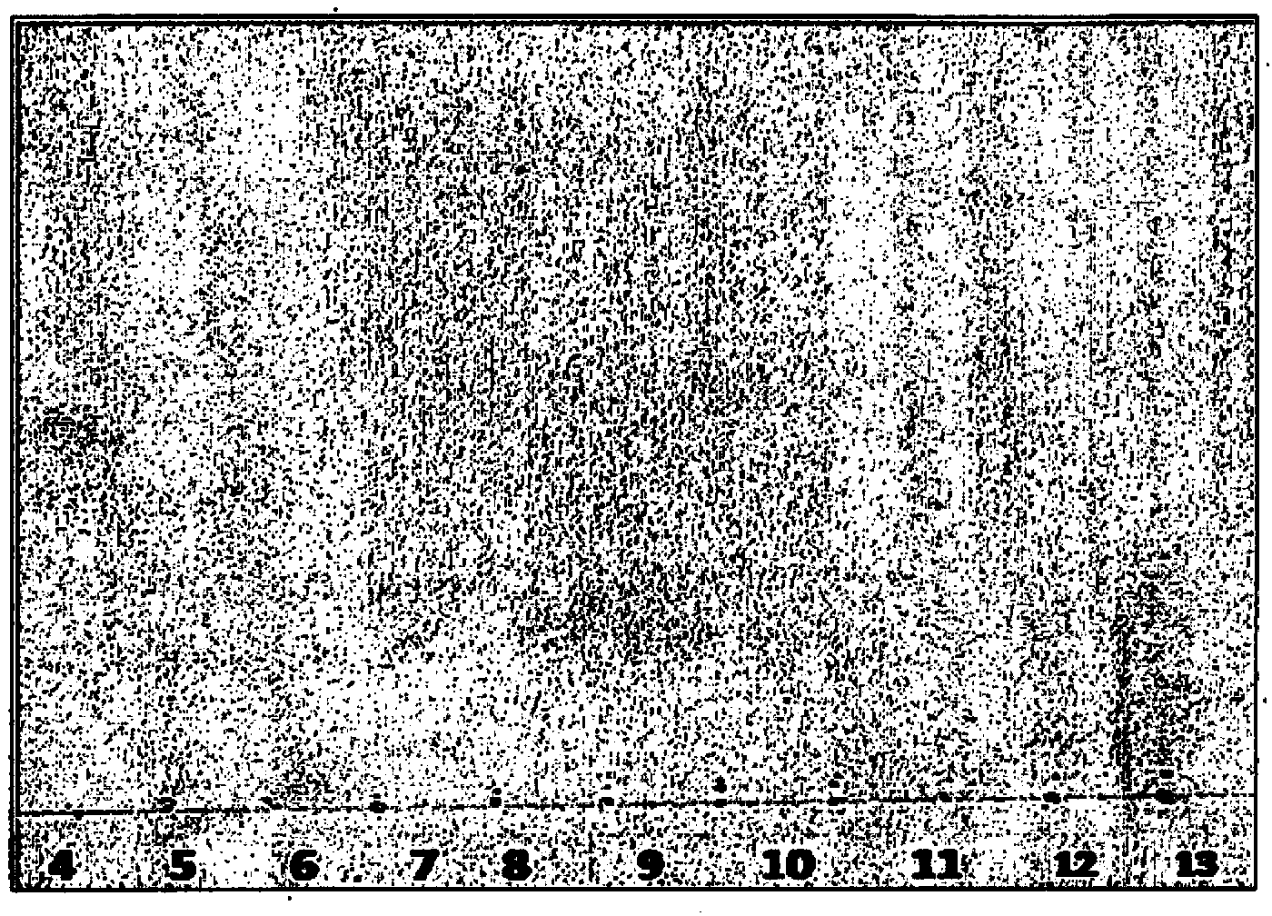 Antituberculosis compositions of byttneria species