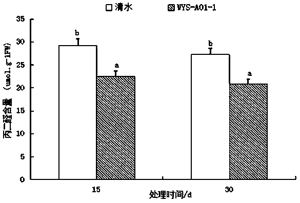 An Endogenous Phosphorus-Solubilizing, Potassium-Solubilizing, Nitrogen-fixing Acinetobacter Calcium-Acetate and Its Application