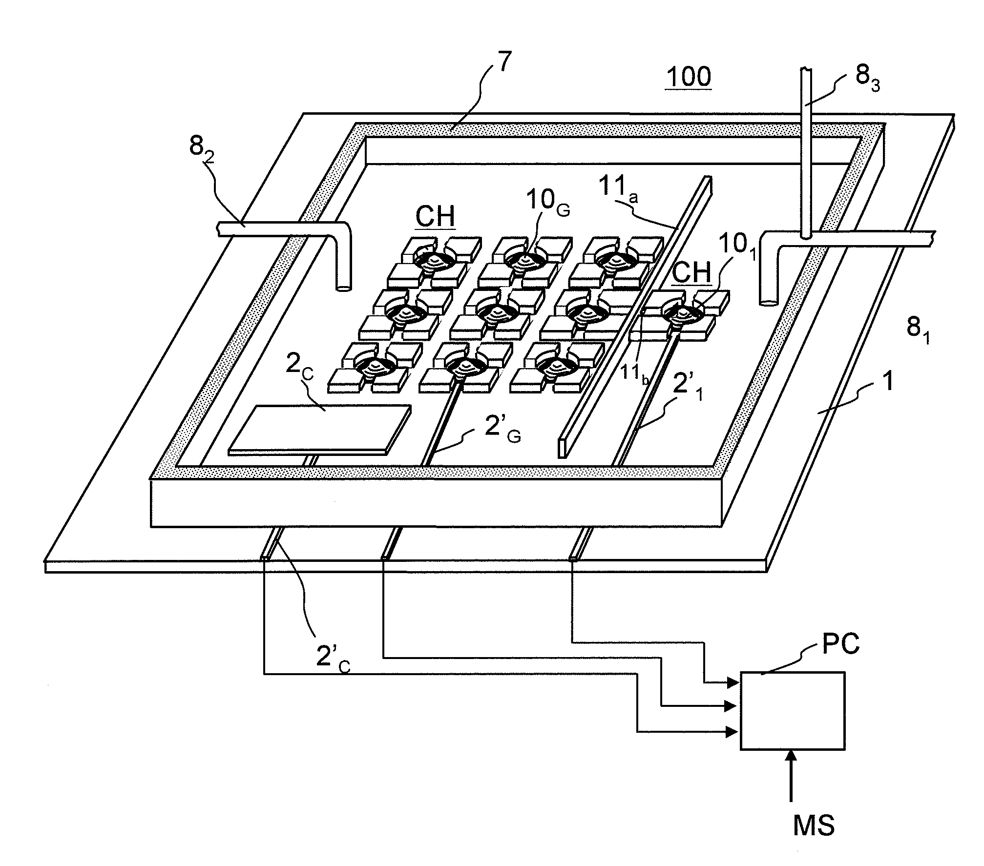 Model cell chip, apparatus for evaluating drug effect using the model cell chip and method of evaluating drug effect