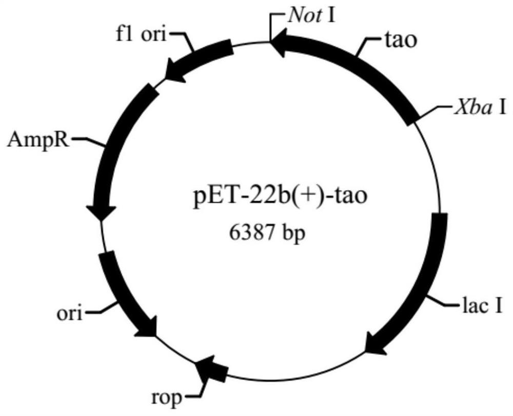 A method for biosynthesizing piperonal with recombinant escherichia coli